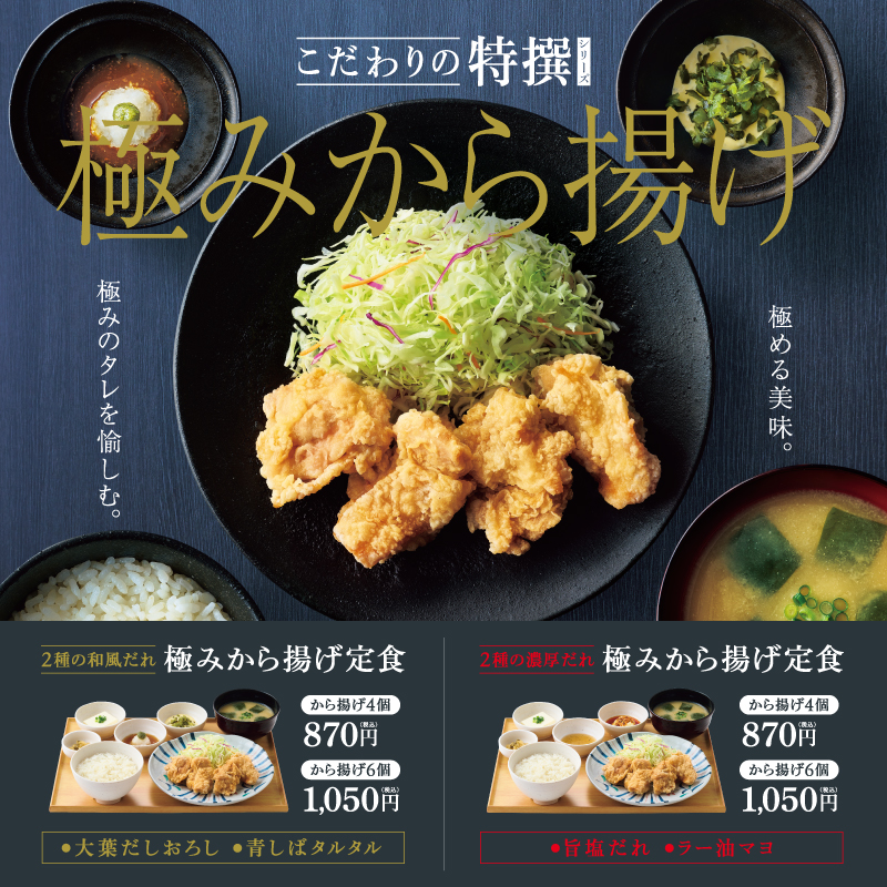 こだわりの特撰シリーズ 極みから揚げ