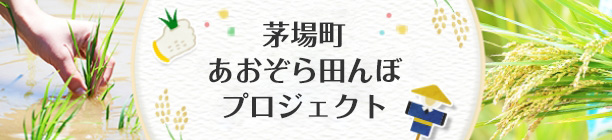 茅場町あおぞら田んぼプロジェクト