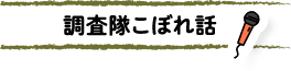 調査隊こぼれ話