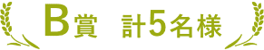 B賞 計5名様