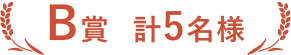 B賞 計5名様
