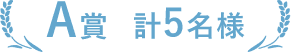 A賞 計5名様