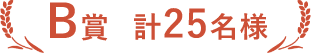 B賞 計5名様