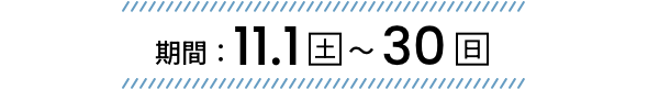 期間：2025年11月1日（土）～11月30日（日）